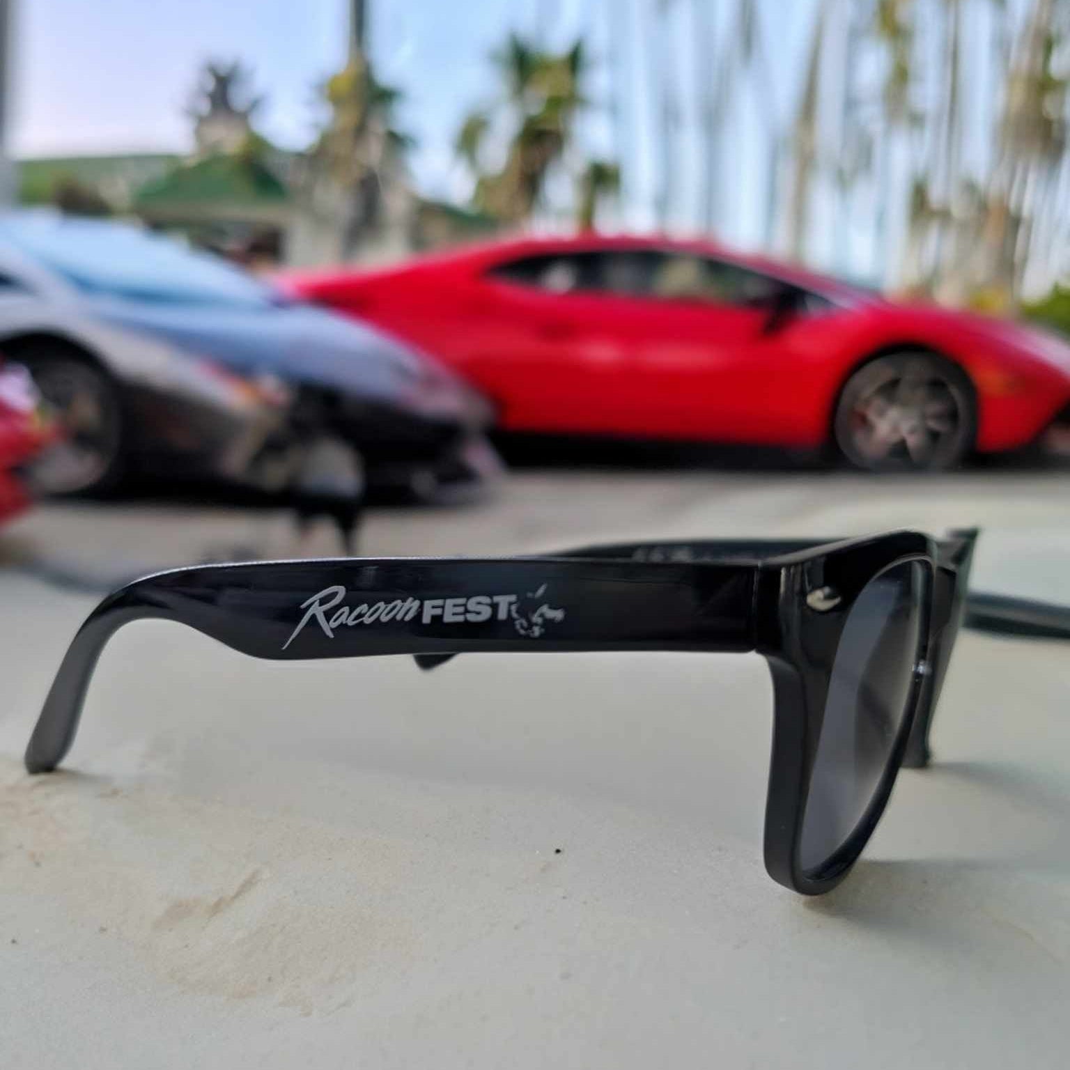 Lunettes de soleil Racoonfest